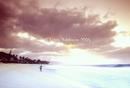 evening on the North shore, 12/04